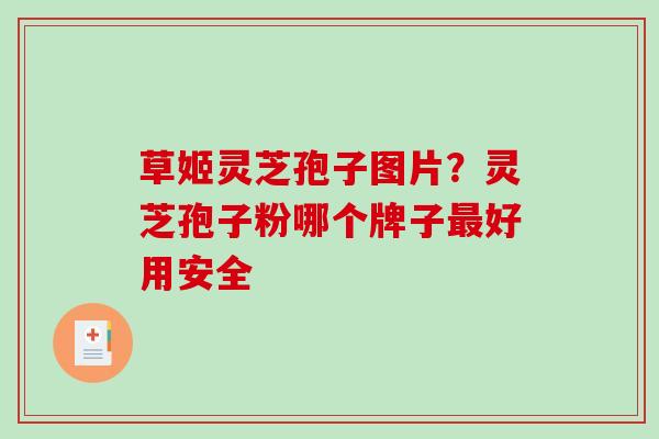 草姬灵芝孢子图片？灵芝孢子粉哪个牌子好用安全