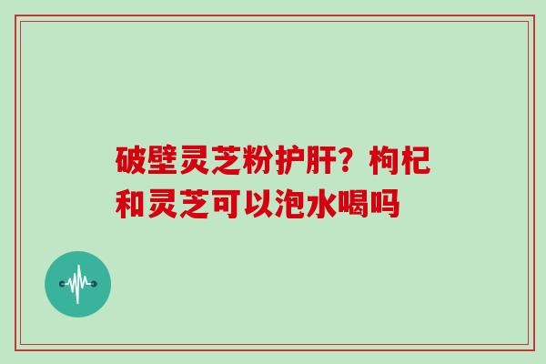 破壁灵芝粉？枸杞和灵芝可以泡水喝吗