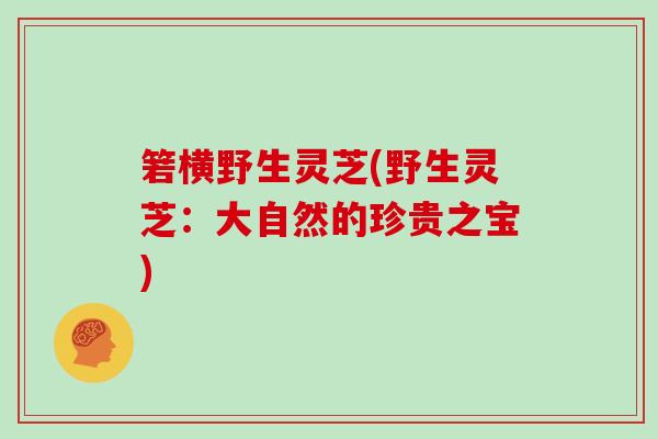 箬横野生灵芝(野生灵芝：大自然的珍贵之宝)