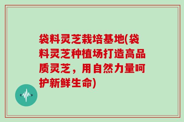 袋料灵芝栽培基地(袋料灵芝种植场打造高品质灵芝，用自然力量呵护新鲜生命)