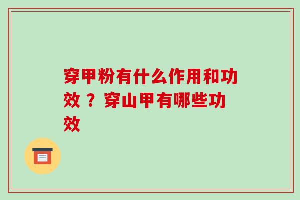 穿甲粉有什么作用和功效 ？穿山甲有哪些功效