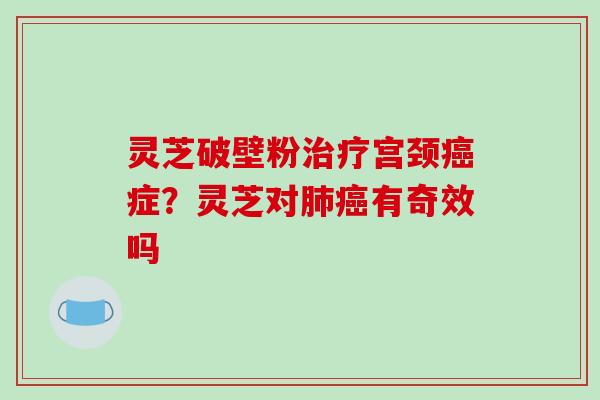 灵芝破壁粉宫颈症？灵芝对有奇效吗