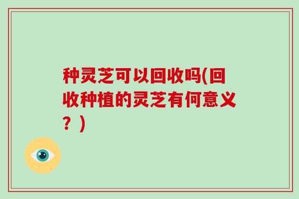 种灵芝可以回收吗(回收种植的灵芝有何意义？)