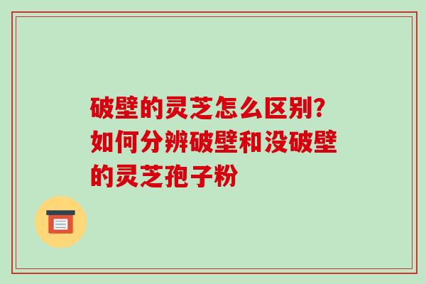 破壁的灵芝怎么区别？如何分辨破壁和没破壁的灵芝孢子粉