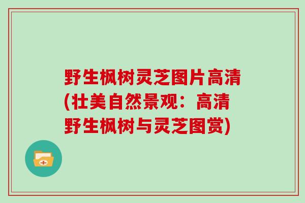 野生枫树灵芝图片高清(壮美自然景观：高清野生枫树与灵芝图赏)