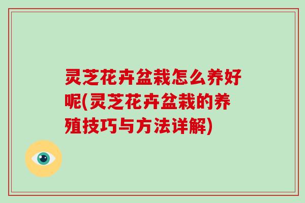 灵芝花卉盆栽怎么养好呢(灵芝花卉盆栽的养殖技巧与方法详解)