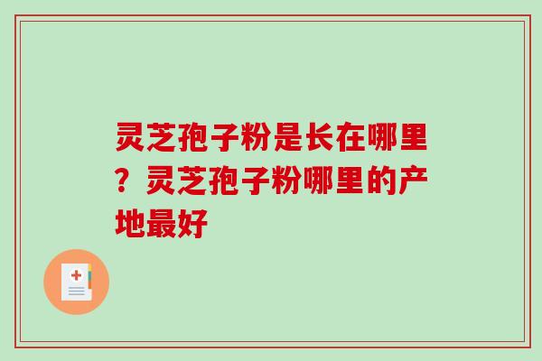 灵芝孢子粉是长在哪里？灵芝孢子粉哪里的产地好