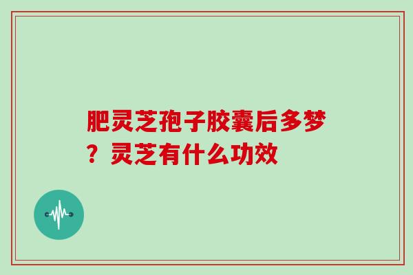 肥灵芝孢子胶囊后多梦？灵芝有什么功效