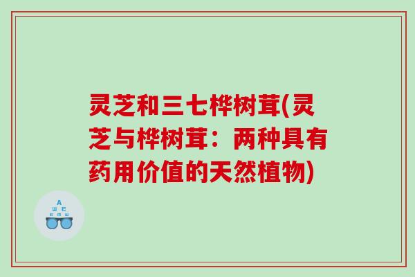 灵芝和三七桦树茸(灵芝与桦树茸：两种具有药用价值的天然植物)