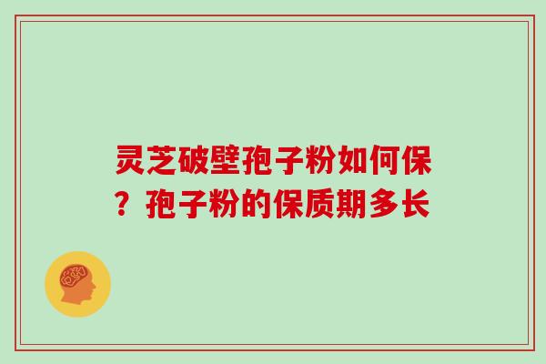 灵芝破壁孢子粉如何保？孢子粉的保质期多长