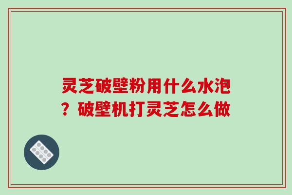 灵芝破壁粉用什么水泡？破壁机打灵芝怎么做