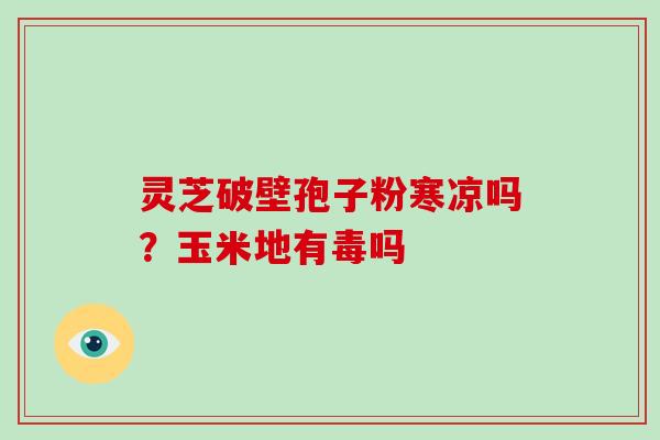 灵芝破壁孢子粉寒凉吗？玉米地有毒吗