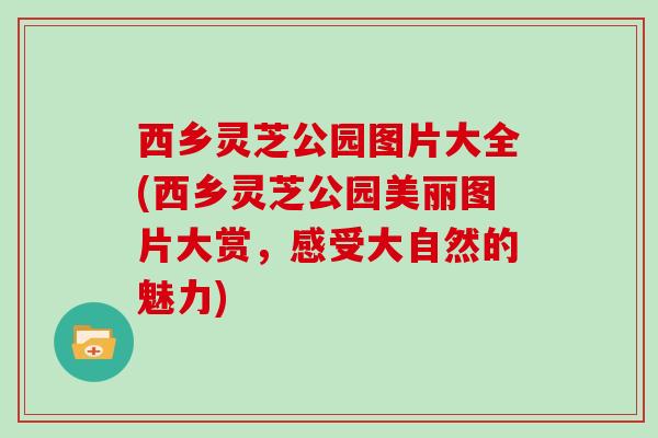 西乡灵芝公园图片大全(西乡灵芝公园美丽图片大赏，感受大自然的魅力)