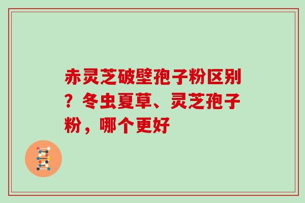 赤灵芝破壁孢子粉区别？冬虫夏草、灵芝孢子粉，哪个更好
