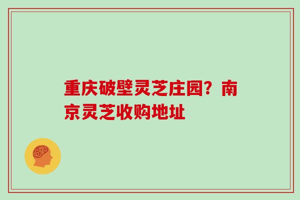 重庆破壁灵芝庄园?南京灵芝收购地址 重庆破壁灵芝庄园?南京灵芝收购地址