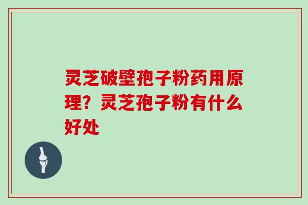 灵芝破壁孢子粉药用原理?灵芝孢子粉有什么好处 灵芝破壁孢子粉药用原理?灵芝孢子粉有什么好处