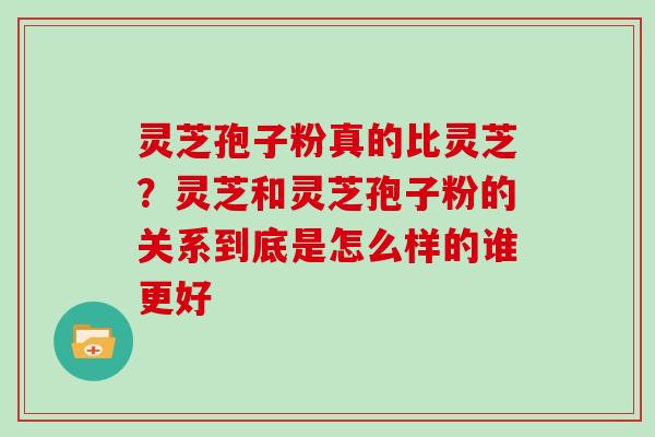 灵芝孢子粉真的比灵芝?灵芝和灵芝孢子粉的关系到底是怎么样的谁更好 灵芝孢子粉真的比灵芝?灵芝和灵芝孢子粉的关系到底是怎么样的谁更好