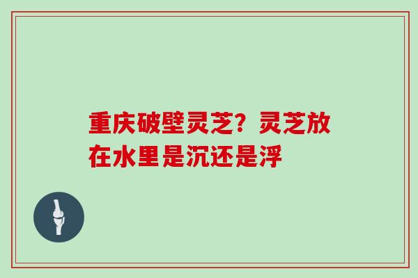 重庆破壁灵芝?灵芝放在水里是沉还是浮 重庆破壁灵芝?灵芝放在水里是沉还是浮