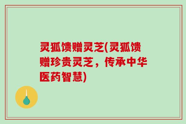 灵狐馈赠灵芝(灵狐馈赠珍贵灵芝,传承中华医药智慧) 灵狐馈赠灵芝(灵狐馈赠珍贵灵芝,传承中华医药智慧)