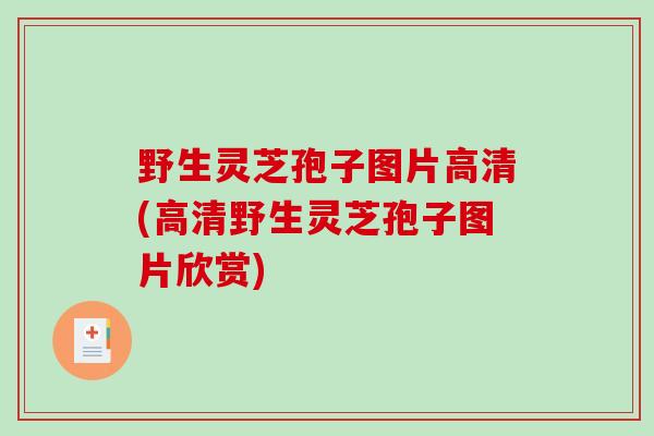 野生灵芝孢子图片高清(高清野生灵芝孢子图片欣赏)