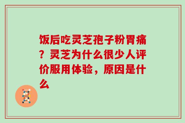 饭后吃灵芝孢子粉胃痛？灵芝为什么很少人评价服用体验，原因是什么