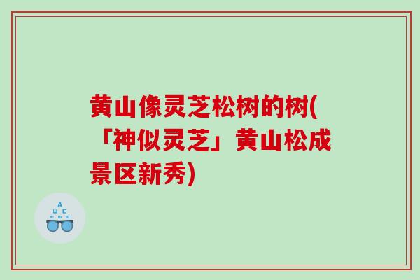 黄山像灵芝松树的树(「神似灵芝」黄山松成景区新秀)