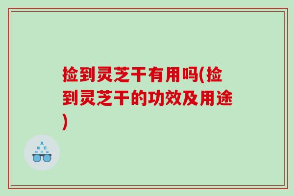 捡到灵芝干有用吗(捡到灵芝干的功效及用途)
