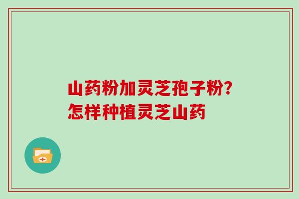 山药粉加灵芝孢子粉?怎样种植灵芝山药 山药粉加灵芝孢子粉?怎样种植灵芝山药