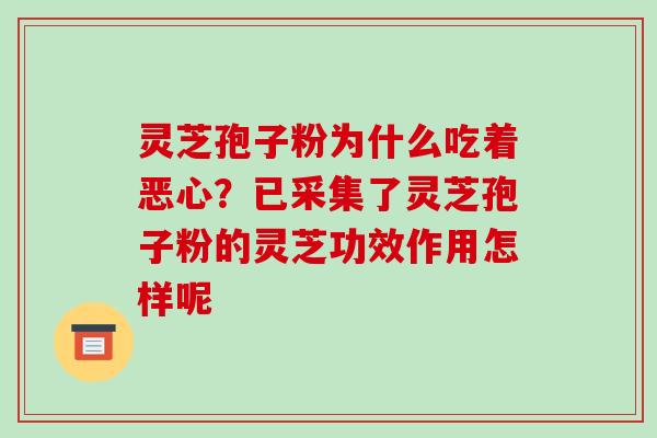 灵芝孢子粉为什么吃着恶心？已采集了灵芝孢子粉的灵芝功效作用怎样呢