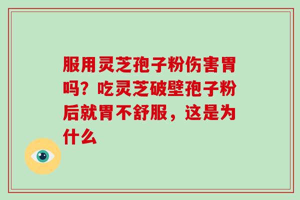 服用灵芝孢子粉伤害胃吗?吃灵芝破壁孢子粉后就胃不舒服,这是为什么 服用灵芝孢子粉伤害胃吗?吃灵芝破壁孢子粉后就胃不舒服,这是为什么