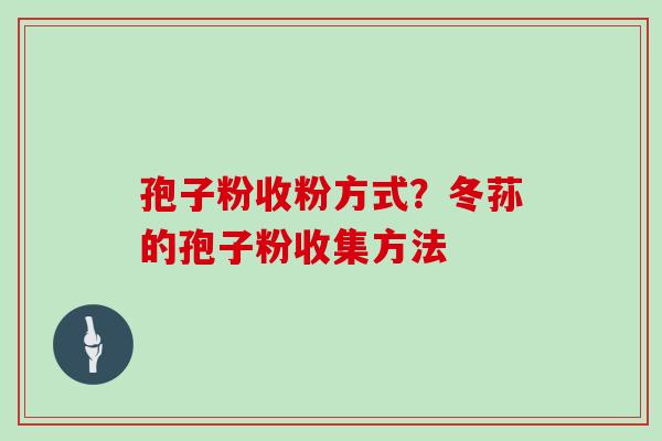 孢子粉收粉方式？冬荪的孢子粉收集方法