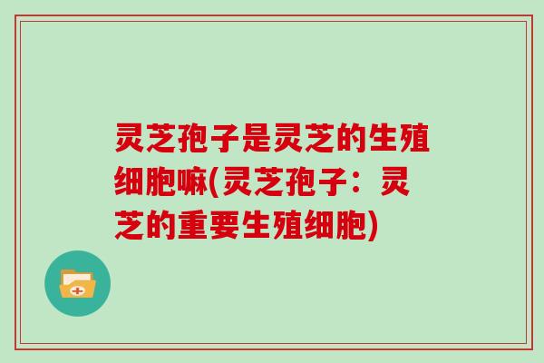 灵芝孢子是灵芝的生殖细胞嘛(灵芝孢子：灵芝的重要生殖细胞)
