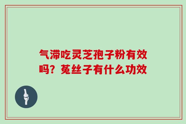 气滞吃灵芝孢子粉有效吗？菟丝子有什么功效