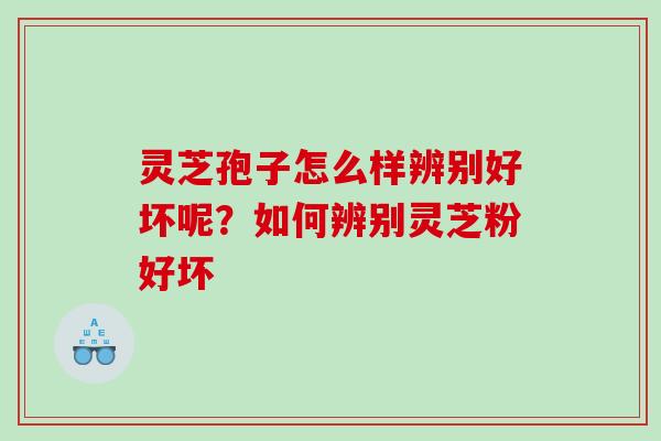 灵芝孢子怎么样辨别好坏呢？如何辨别灵芝粉好坏
