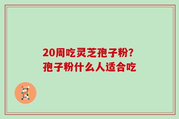 20周吃灵芝孢子粉?孢子粉什么人适合吃 20周吃灵芝孢子粉?孢子粉什么人适合吃