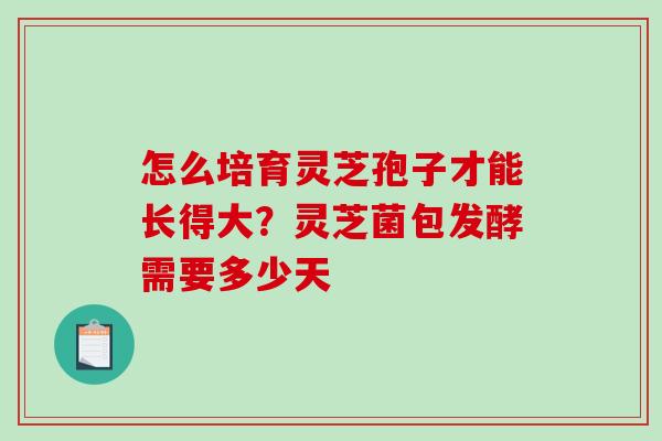 怎么培育灵芝孢子才能长得大？灵芝菌包发酵需要多少天