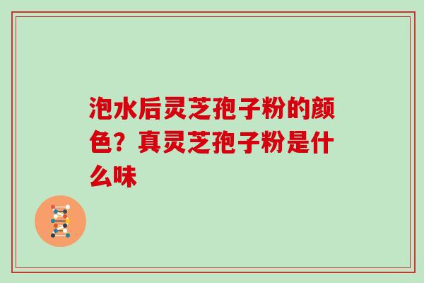 泡水后灵芝孢子粉的颜色？真灵芝孢子粉是什么味