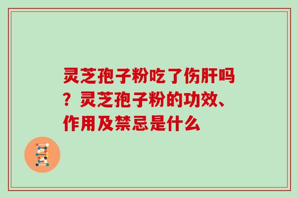 灵芝孢子粉吃了伤吗？灵芝孢子粉的功效、作用及禁忌是什么