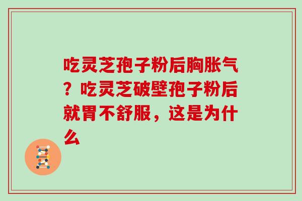 吃灵芝孢子粉后胸胀气？吃灵芝破壁孢子粉后就胃不舒服，这是为什么