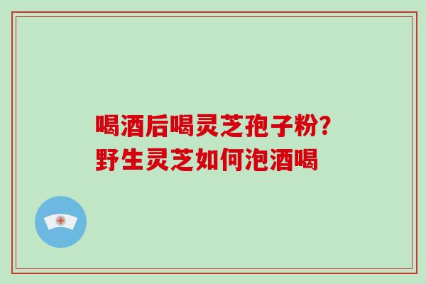 喝酒后喝灵芝孢子粉?野生灵芝如何泡酒喝 喝酒后喝灵芝孢子粉?野生灵芝如何泡酒喝