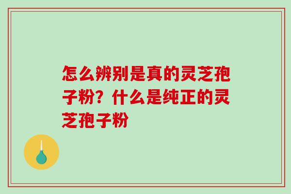 怎么辨别是真的灵芝孢子粉?什么是纯正的灵芝孢子粉 怎么辨别是真的灵芝孢子粉?什么是纯正的灵芝孢子粉