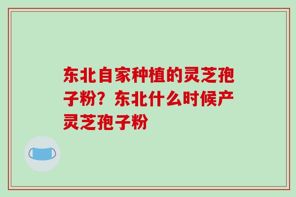 东北自家种植的灵芝孢子粉?东北什么时候产灵芝孢子粉 东北自家种植的灵芝孢子粉?东北什么时候产灵芝孢子粉