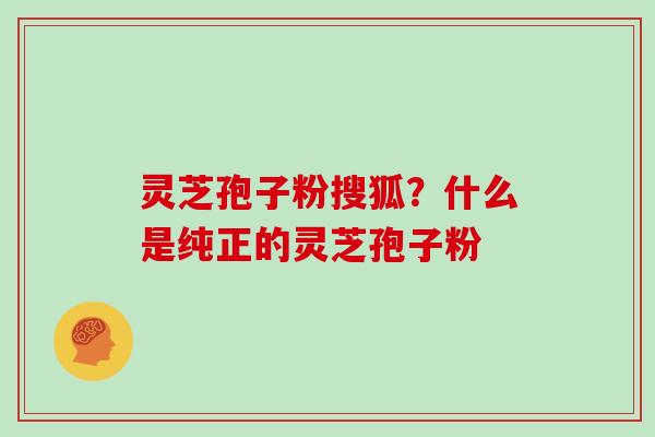灵芝孢子粉搜狐?什么是纯正的灵芝孢子粉 灵芝孢子粉搜狐?什么是纯正的灵芝孢子粉
