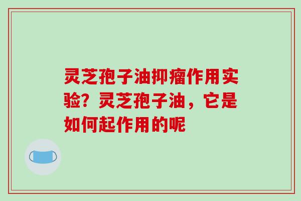 灵芝孢子油抑瘤作用实验?灵芝孢子油,它是如何起作用的呢 灵芝孢子油抑瘤作用实验?灵芝孢子油,它是如何起作用的呢