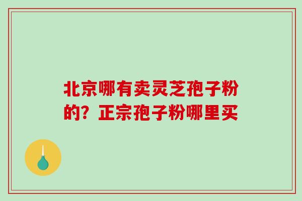 北京哪有卖灵芝孢子粉的？正宗孢子粉哪里买