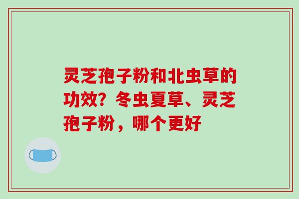 灵芝孢子粉和北虫草的功效？冬虫夏草、灵芝孢子粉，哪个更好
