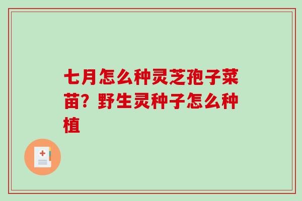 七月怎么种灵芝孢子菜苗?野生灵种子怎么种植 七月怎么种灵芝孢子菜苗?野生灵种子怎么种植