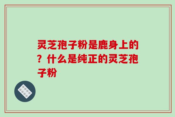 灵芝孢子粉是鹿身上的?什么是纯正的灵芝孢子粉 灵芝孢子粉是鹿身上的?什么是纯正的灵芝孢子粉
