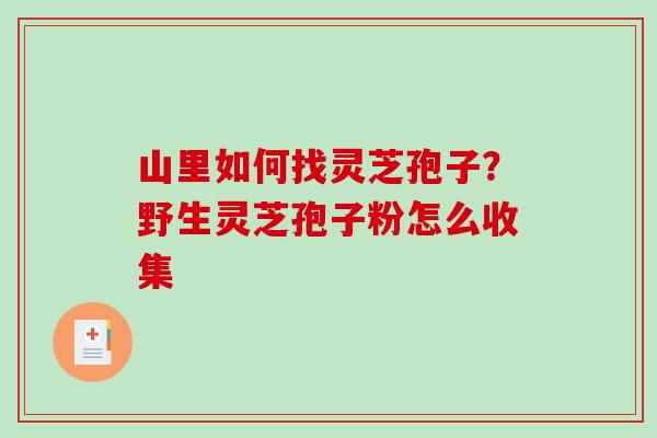山里如何找灵芝孢子？野生灵芝孢子粉怎么收集