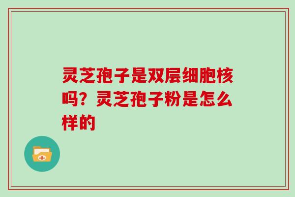 灵芝孢子是双层细胞核吗?灵芝孢子粉是怎么样的 灵芝孢子是双层细胞核吗?灵芝孢子粉是怎么样的